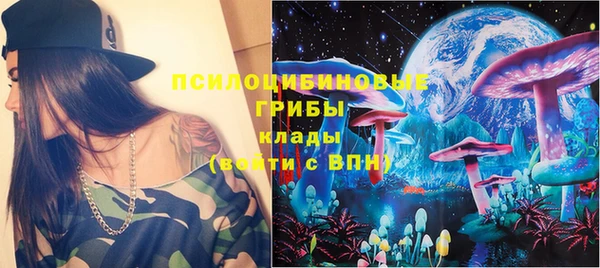 синтетический гашиш Заводоуковск