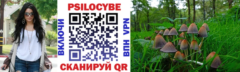 Галлюциногенные грибы мухоморы  Купить закладки  Нерюнгри 